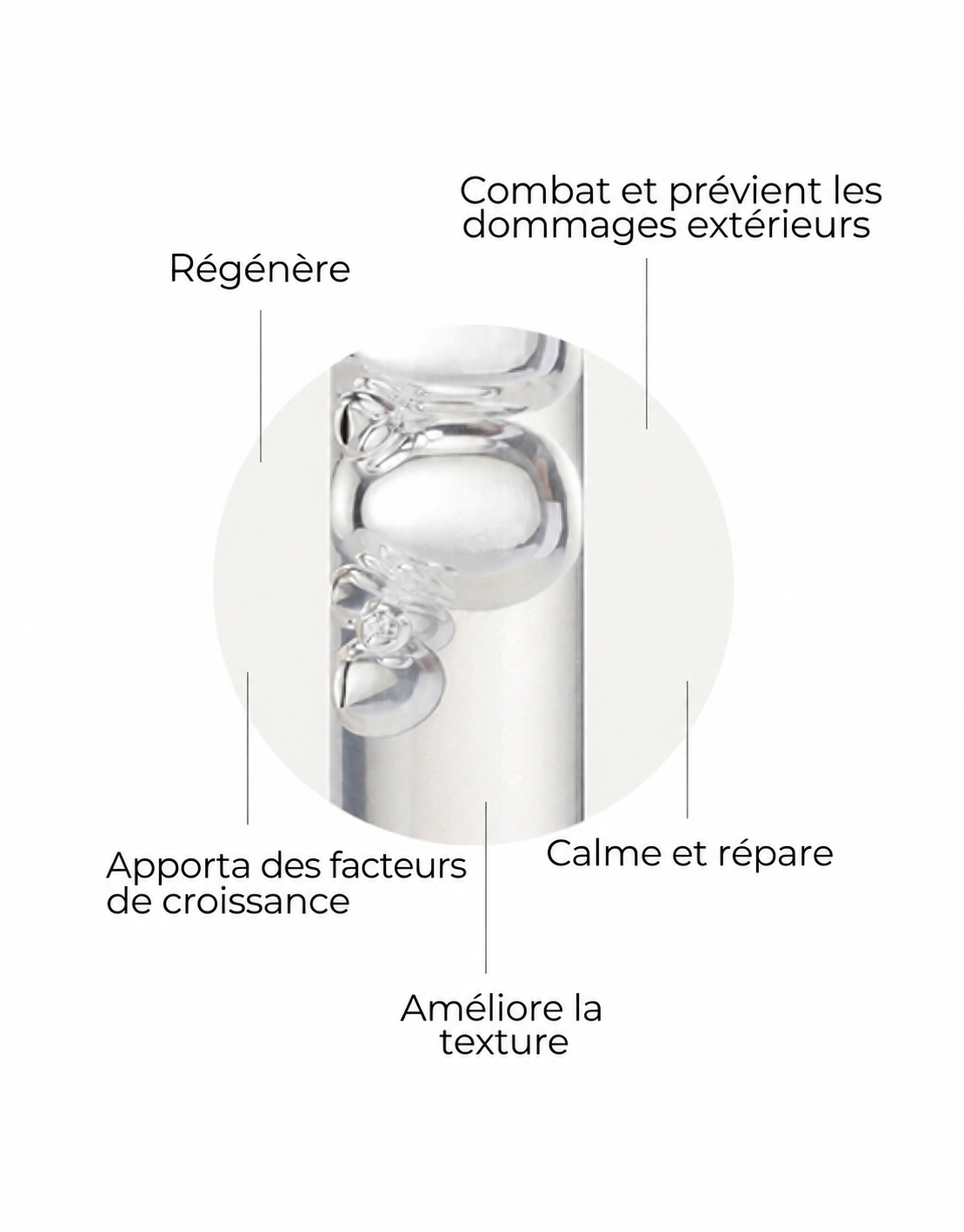 ChatGPT_Image_16_sept._2026_10_06_59.png