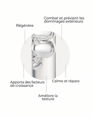 Sérum Skin Factor