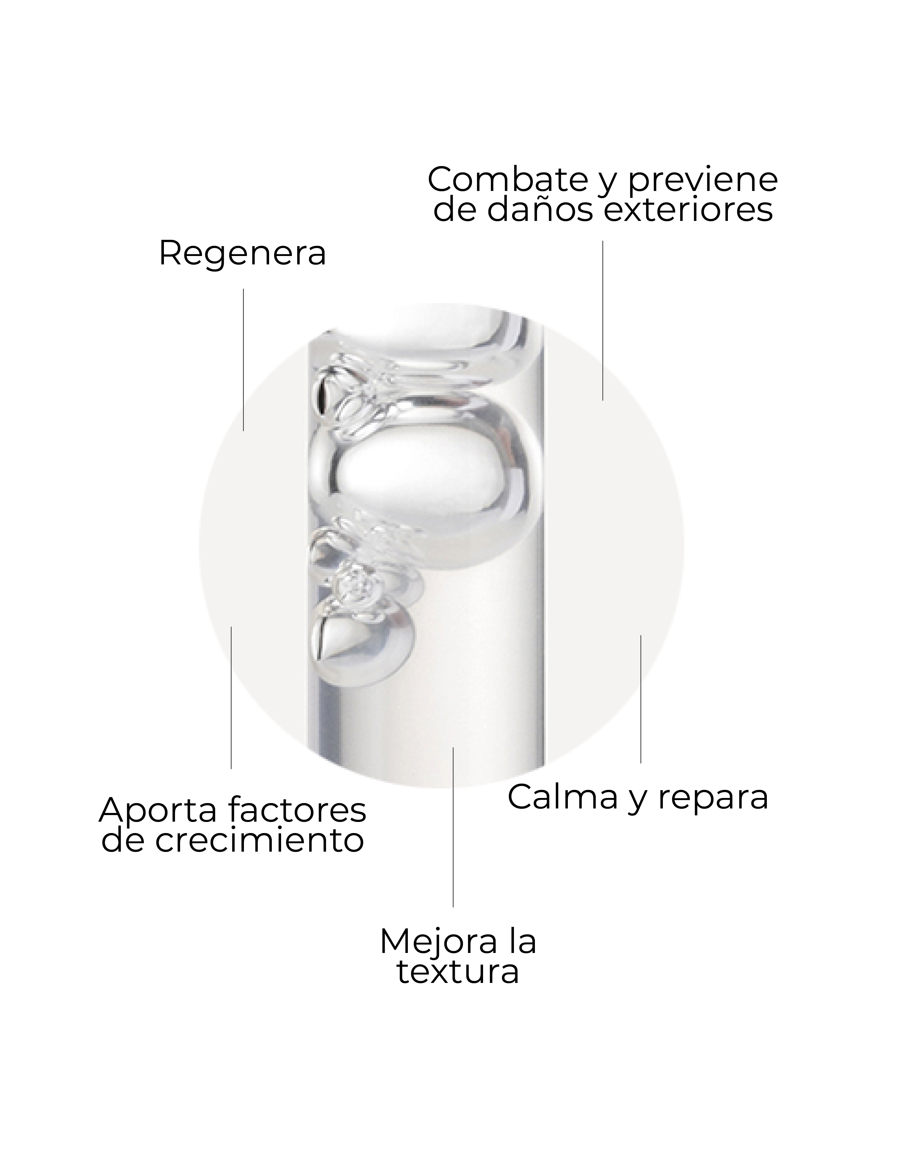 Serum_SkinFactor_3.png